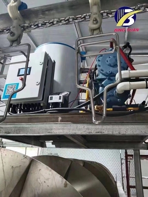 Van de het Staal8ton Vlok van SUS304 Staineless de Machine van de het Ijsmaker voor Vissen