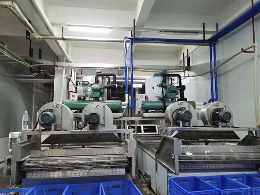 van het de Sneeuwvlokijs van 70kw 10ton de Makermachine voor Overzees Voedselkoeler