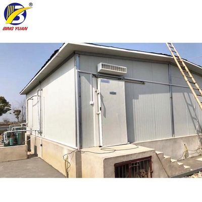 R404A 150mm Zonnemachts Containerized Koude Zaal, de Koude Zaal van de Ijsopslag
