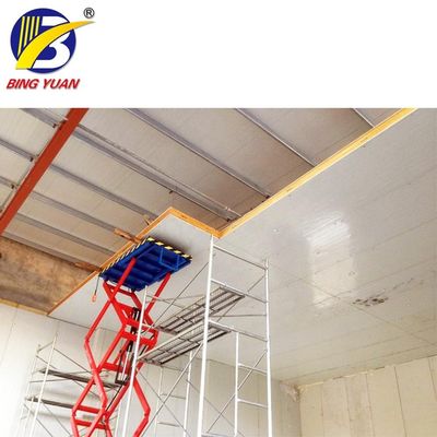 R404A 150mm Zonnemachts Containerized Koude Zaal, de Koude Zaal van de Ijsopslag