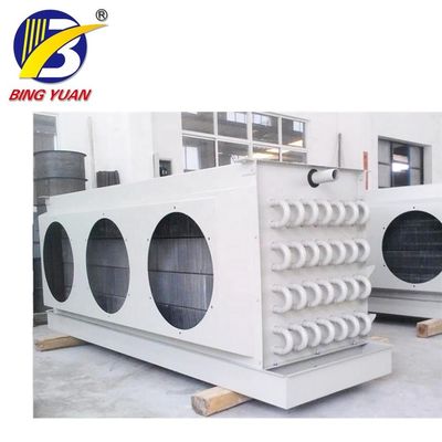 3.1KW 0.8mm Zonnemachts Containerized Koude Zaal, Modulaire Koude Opslag