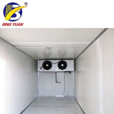 De commerciële 120mm Zonnemacht Containerized Koude Zaal, Koude Zaal Voedselopslag