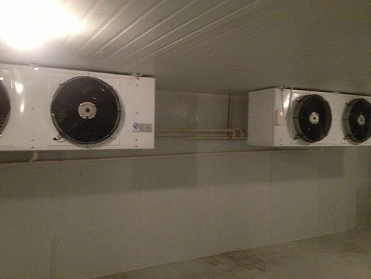 Koelere de Koelingseenheden van 20m2 R404A, Kleine Koude Opslag